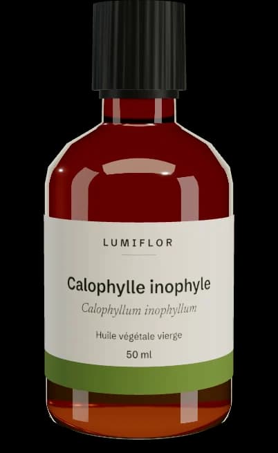Calophylle inophyle, flacon Lumiflor