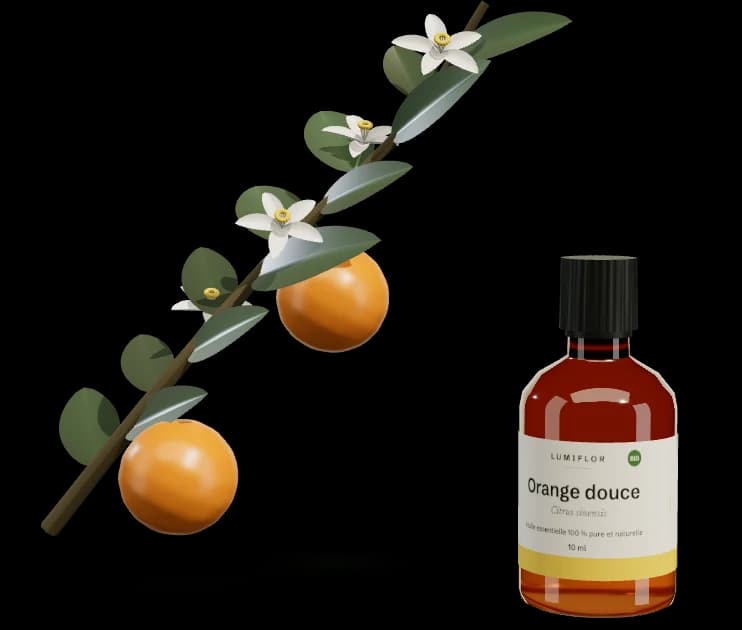 Orange douce en 3D avec son flacon