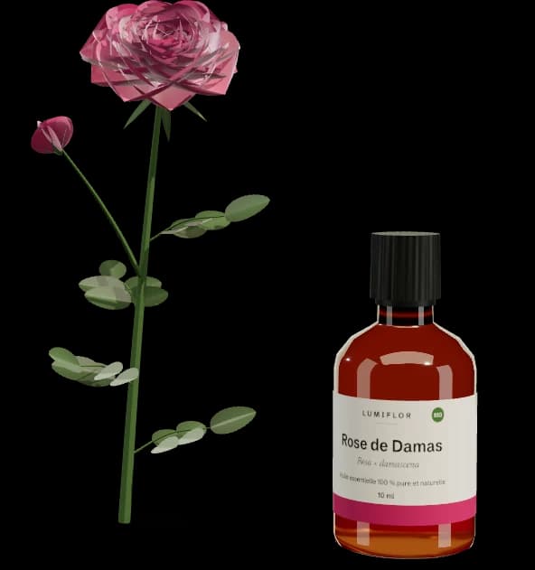 Rose de Damas en 3D avec son flacon