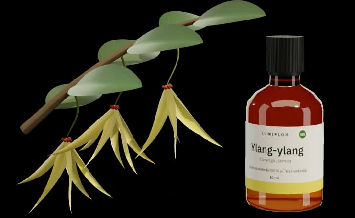 Ylang-ylang en 3D avec son flacon